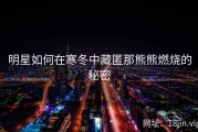 明星如何在寒冬中藏匿那熊熊燃烧的秘密