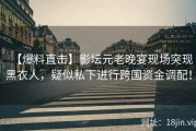 【爆料直击】影坛元老晚宴现场突现黑衣人，疑似私下进行跨国资金调配！