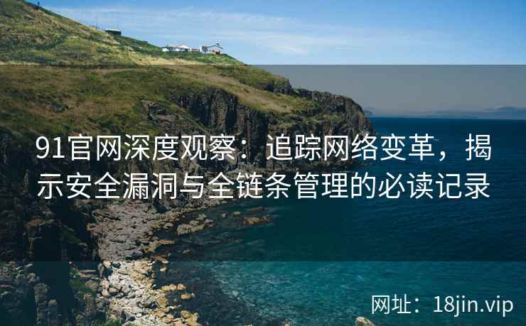 91官网深度观察：追踪网络变革，揭示安全漏洞与全链条管理的必读记录