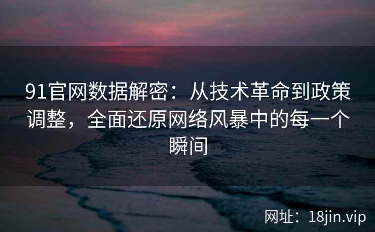 91官网数据解密：从技术革命到政策调整，全面还原网络风暴中的每一个瞬间