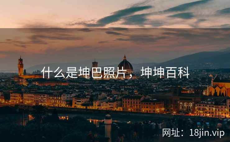什么是坤巴照片，坤坤百科