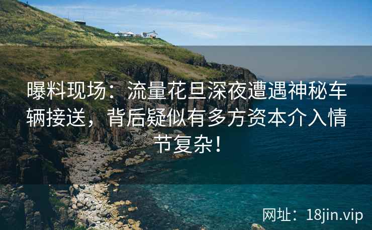 曝料现场：流量花旦深夜遭遇神秘车辆接送，背后疑似有多方资本介入情节复杂！